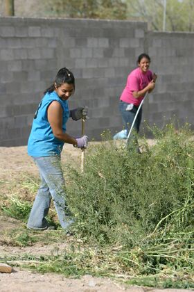 Click to See Next Image