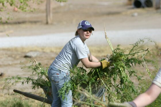 Click to See Next Image