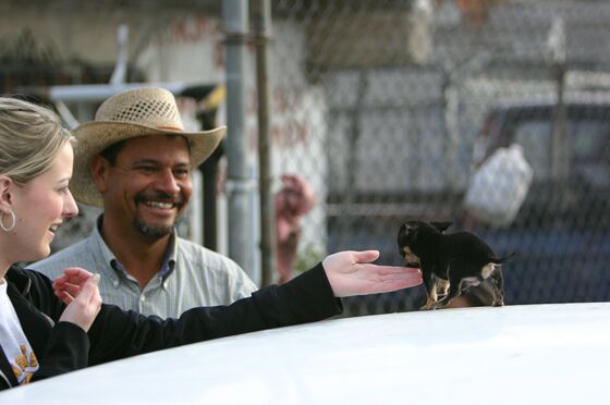 Click to See Next Image