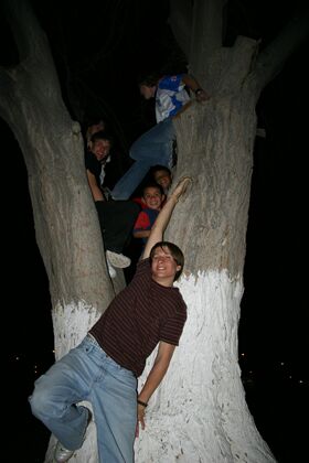 Click to See Next Image