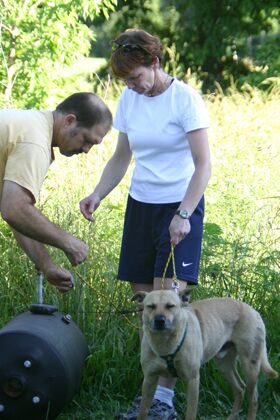 Click to See Next Image