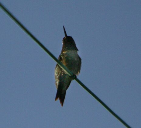 Click to See Next Image