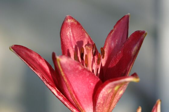 Click to See Next Image