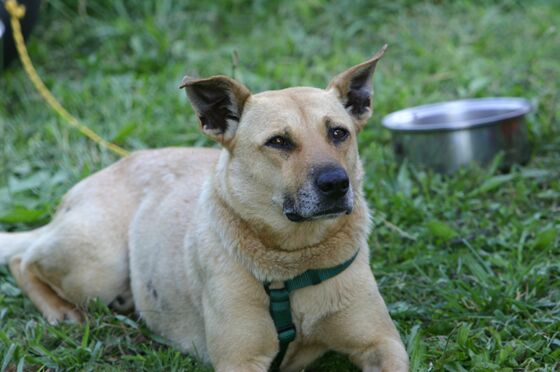 Click to See Next Image