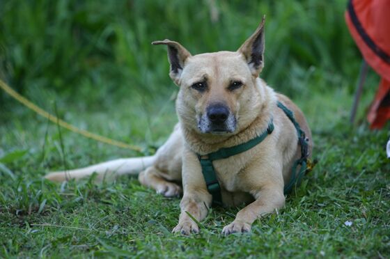 Click to See Next Image