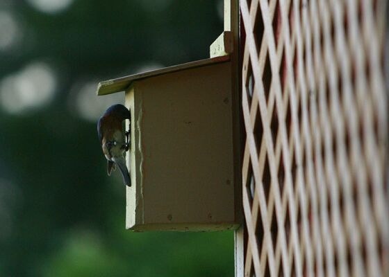 Click to See Next Image