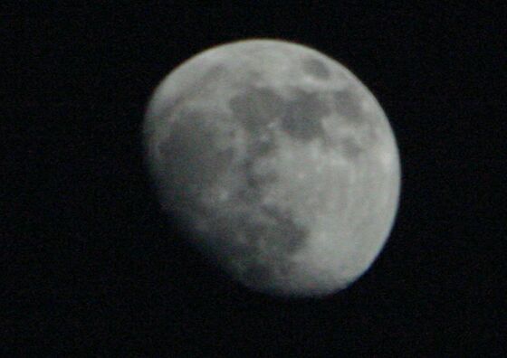 Click to See Next Image