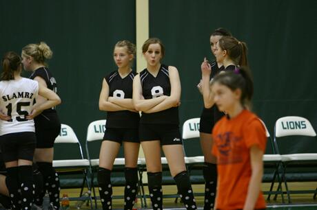 Click to See Next Image